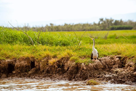 Darwin City Sights And Jumping Crocodile Cruise - Accommodation NSW 2