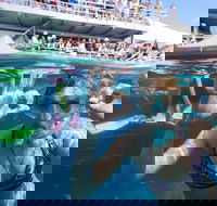 Great Barrier Reef Day Cruise from Cairns Including Snorkeling and Marine Biologist Presentation - Accommodation NSW