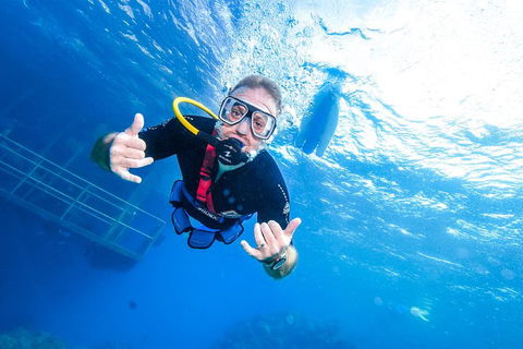Great Barrier Reef Day Cruise From Cairns Including Snorkeling And Marine Biologist Presentation - Accommodation NSW 3