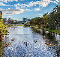 Adelaide City Kayak Tour - Accommodation NSW