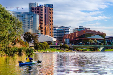 Adelaide City Kayak Tour - Accommodation NSW 3