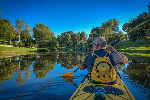 Adelaide City Kayak Tour - Accommodation NSW 5