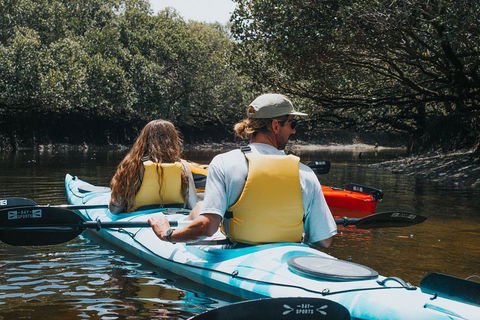 Kayak Tour In Adelaide Dolphin Sanctuary - Accommodation NSW 2