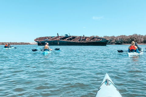 Kayak Tour In Adelaide Dolphin Sanctuary - Accommodation NSW 3