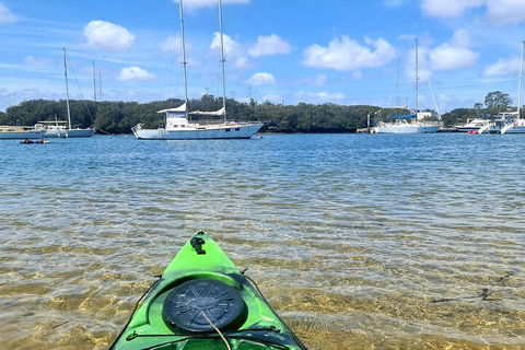 Kayak Tour In Adelaide Dolphin Sanctuary - Accommodation NSW 4
