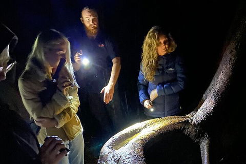 Evening Rainforest & Glow Worm Experience - Accommodation NSW 2