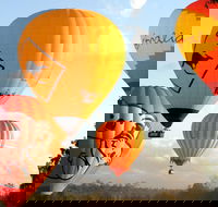 Natural Bridge  Springbrook Waterfalls Tour  Hot Air Balloon with Breakfast - Accommodation NSW