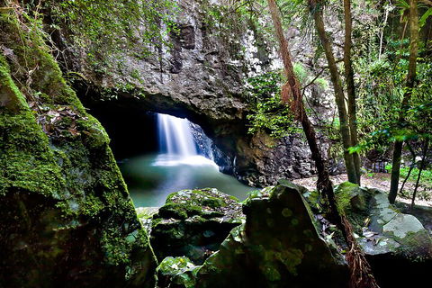 Natural Bridge & Springbrook Waterfalls Tour + Hot Air Balloon With Breakfast - Accommodation NSW 4