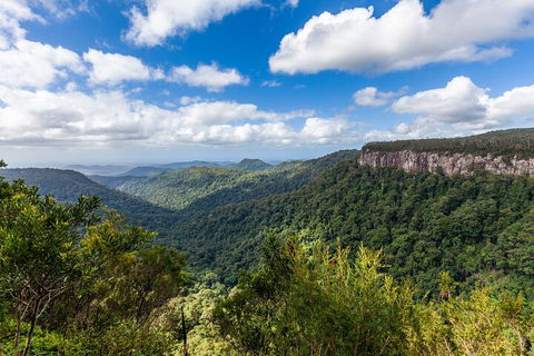 Natural Bridge & Springbrook Waterfalls Tour - Accommodation NSW 1