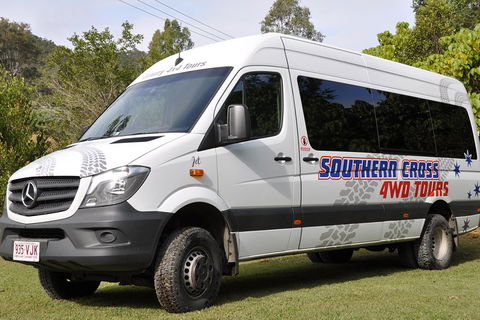 Natural Bridge & Springbrook Waterfalls Tour - Accommodation NSW 3