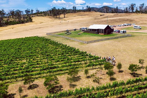 Tasmanian Wine Tour - Accommodation NSW 3