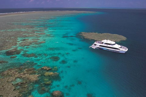 Silversonic Outer Great Barrier Reef Dive And Snorkel Cruise From Port Douglas - Accommodation NSW 1