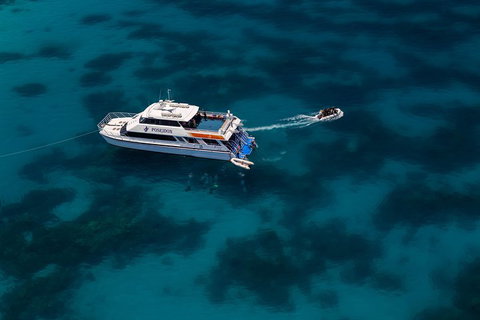 Quicksilver Dive 4 Day PADI Learn To Dive Course - Accommodation NSW 1