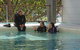 Quicksilver Dive 4 Day PADI Learn To Dive Course - thumb 3