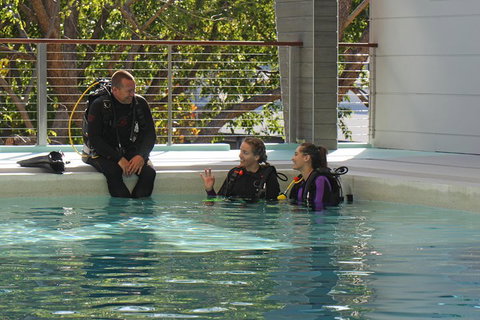 Quicksilver Dive 4 Day PADI Learn To Dive Course - Accommodation NSW 3