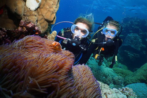 Quicksilver Dive 4 Day PADI Learn To Dive Course - Accommodation NSW 4
