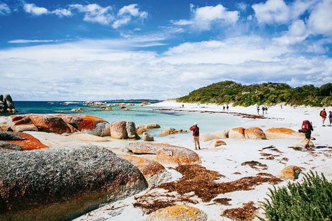 Wineglass Bay Private Charter Service - Accommodation NSW 3