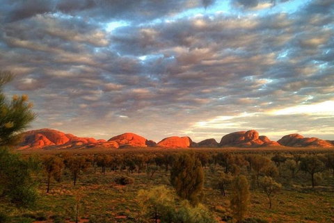 5-Hour Kata Tjuta Sunrise Tour From Ayers Rock With Breakfast - Accommodation NSW 1