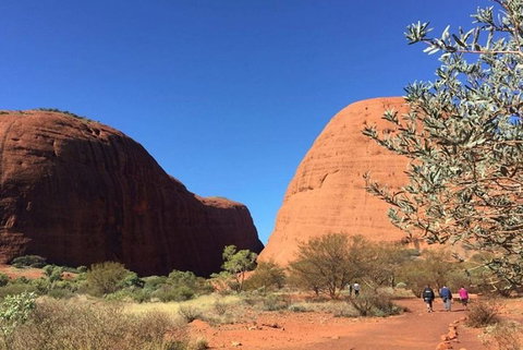 5-Hour Kata Tjuta Sunrise Tour From Ayers Rock With Breakfast - Accommodation NSW 4