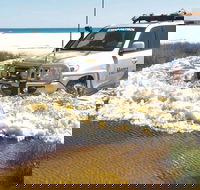 Full-Day Moreton Island 4x4 Sightseeing Tour - Accommodation NSW