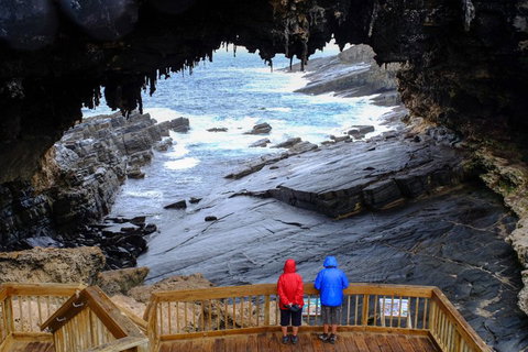 2-Day Kangaroo Island Safari From Adelaide - Accommodation NSW 5