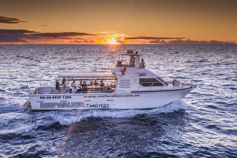 Kalbarri Sunset Coastal Cliff Cruise - Accommodation NSW 2