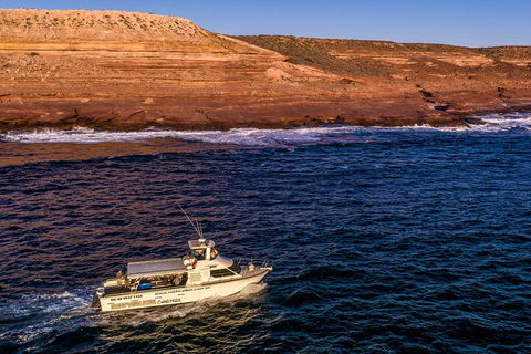 Kalbarri Sunset Coastal Cliff Cruise - Accommodation NSW 4