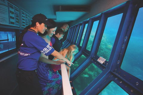Great Barrier Reef Adventure From Cairns - Accommodation NSW 0