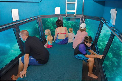 Great Barrier Reef Adventure From Cairns - Accommodation NSW 1
