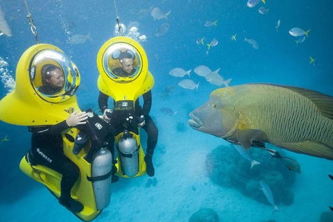 Great Barrier Reef Adventure From Cairns - Accommodation NSW 2