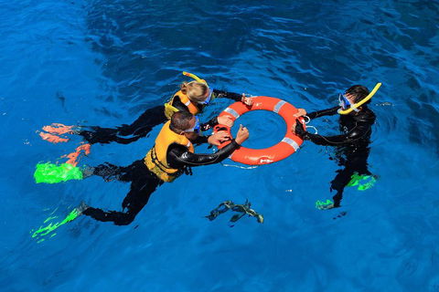 Great Barrier Reef Adventure From Cairns - Accommodation NSW 3
