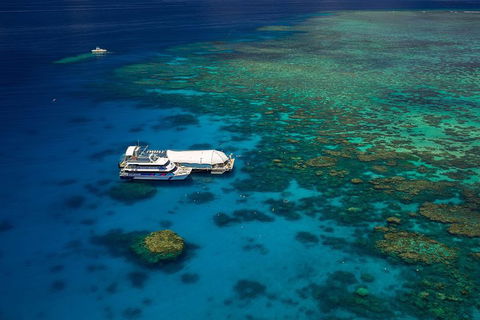 Great Barrier Reef Adventure From Cairns - Accommodation NSW 4