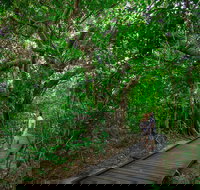 Green Island Eco Adventure from Cairns - Accommodation NSW