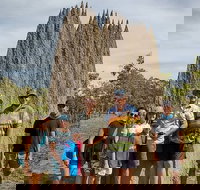 Jumping Crocodile Cruise and Berry Springs Nature Park - Accommodation NSW