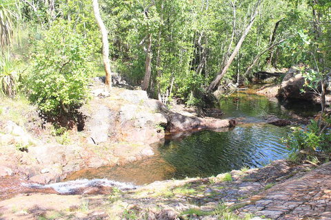 Jumping Crocodile Cruise And Berry Springs Nature Park - Accommodation NSW 3