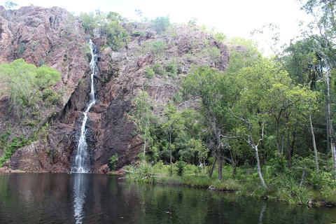 Jumping Crocodile Cruise And Berry Springs Nature Park - Accommodation NSW 5
