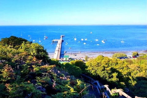 Mornington Peninsula Sightseeing Tour For 2-6 Guests. - Accommodation NSW 1