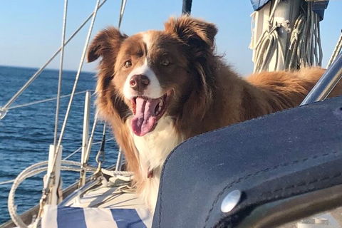 Mornington Peninsula Sightseeing Tour For 2-6 Guests. - Accommodation NSW 2