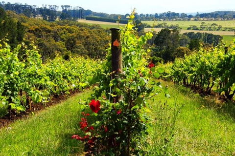 Mornington Peninsula Sightseeing Tour For 2-6 Guests. - Accommodation NSW 3