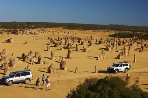 1-Day Pinnacles And Yanchep Tour From Perth Including Fish And Chips Lunch - Accommodation NSW 0