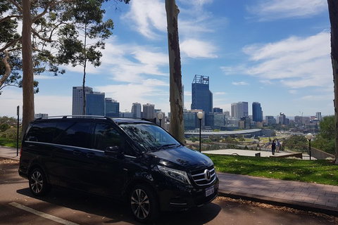 1-Day Pinnacles And Yanchep Tour From Perth Including Fish And Chips Lunch - Accommodation NSW 1