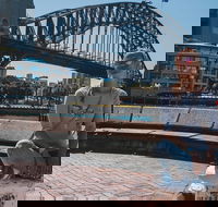 Sydney Private Tours by Locals 100 Personalized See the City Unscripted - Accommodation NSW