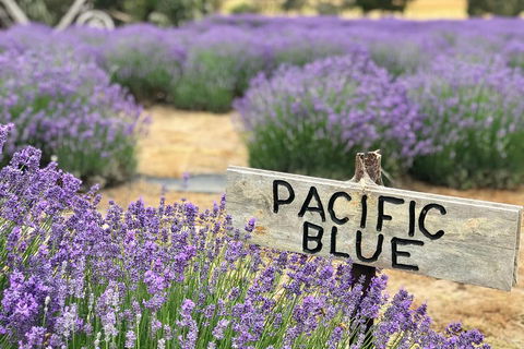 Kangaroo Island Food And Wine Trail Tour - Accommodation NSW 0