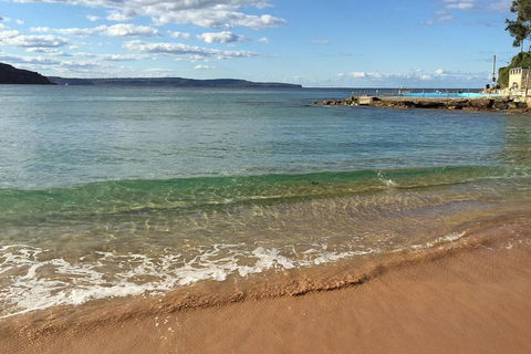 Small-Group Sydney's Northern Beaches And Ku-ring-gai National Park Bus Tour - Accommodation NSW 1