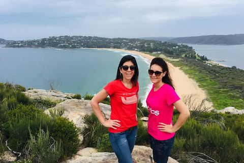 Small-Group Sydney's Northern Beaches And Ku-ring-gai National Park Bus Tour - Accommodation NSW 3