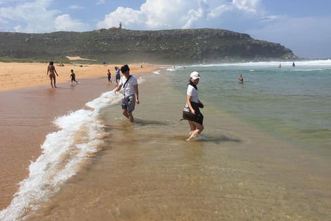 Small-Group Sydney's Northern Beaches And Ku-ring-gai National Park Bus Tour - Accommodation NSW 5