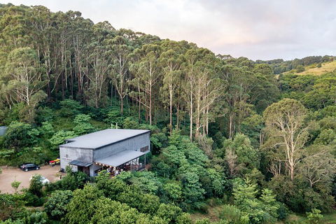 Full-Day Tour To Byron Bay Best Food And Drink Spots - Accommodation NSW 3