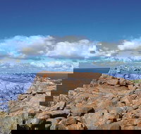 4 Day Tour Albany Margaret River Valley of the Giants TreeTop Walk from Perth - Accommodation NSW