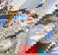 Pinnacles Desert Koalas and Sandboarding 4WD Day Tour from Perth - Accommodation NSW