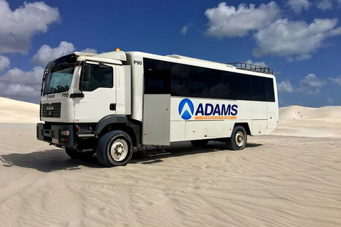 Pinnacles Desert, Koalas And Sandboarding 4WD Day Tour From Perth - Accommodation NSW 2